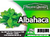 albahaca  Albahaca