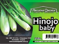hinojo