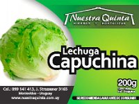 lechugacapuccina