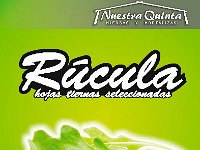 rucula