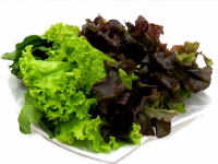 ruculaylechugamorada  Mix de Rúcula y Lechuga Morada