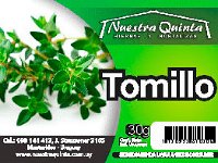 tomillo  Tomillo